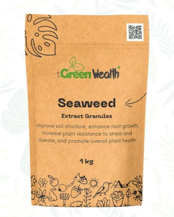 TGW Seaweed - 1 Kg