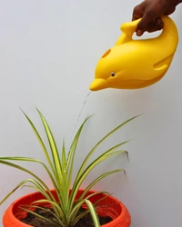 DOLFIN WATER CANE 1.5 LITRE - 1.5 Lt., Yellow