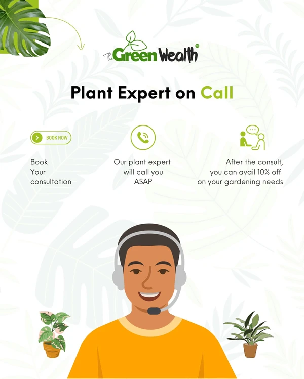 TGW Plant Expert On Call 