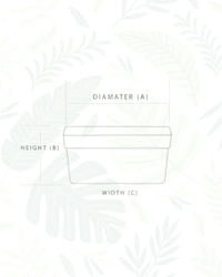 SET OF 2 ARTY RECTANGLE PLANTERS-11 In - Green & Mocca