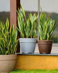 BARCA ROUND PLANTERS 12 Inch  - 12 Inch, Midnight Stone