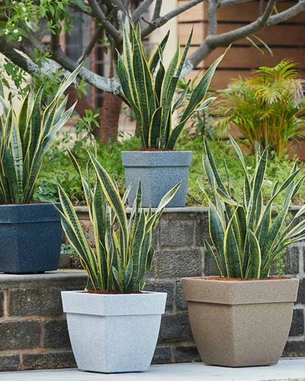 BARCA SQUARE PLANTERS 12 Inch - Natural Stone