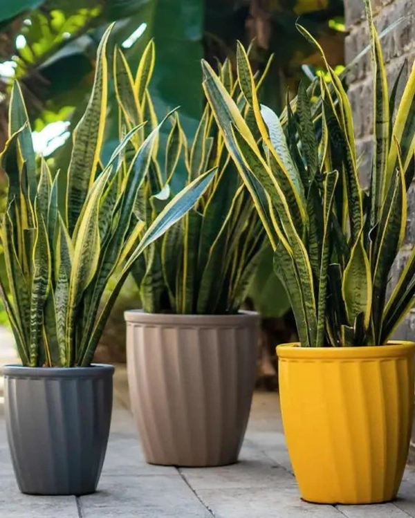 KYIV PLANTERS - 10 Inch, White