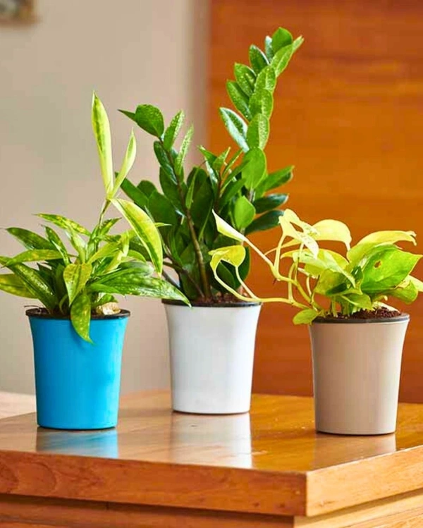 Set of 2  OSLO PLANTERS  - 4 Inch, Mocca