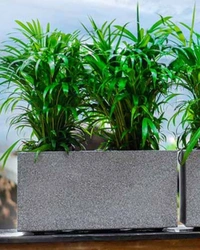 QUEBEC RECTANGLE PLANTERS - 24 Inch, Gray Stone