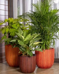 RIB VERTICAL PLANTER - 14 Inch, Walnut Wood Matt