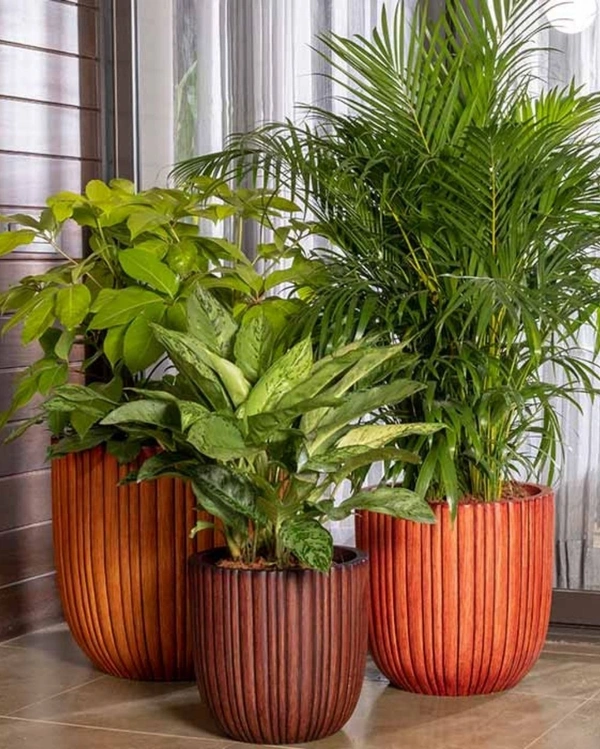 RIB VERTICAL PLANTER - 14 Inch, Walnut Wood Matt