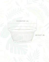 SET OF 2 BELLO BOWL PLANTER 12 In - 12 Inch, Teracotta