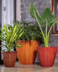 RIB VERTICAL XL PLANTER - 16 Inch, Walnut Wood Matt