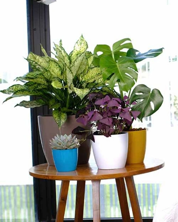 Set of 2 VALENCIA PLANTERS - 4 Inch, Black