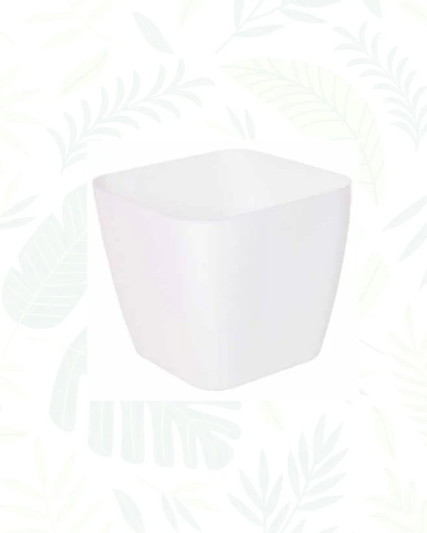 SIENA PLANTERS - 5.5 Inch, White