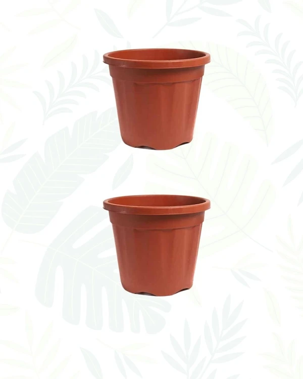 Set of 2 GROWER POT - 6 Inch, Teracota