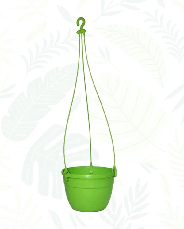 CORSICA HANGING BASKET PLANTER - 7 Inch, Green