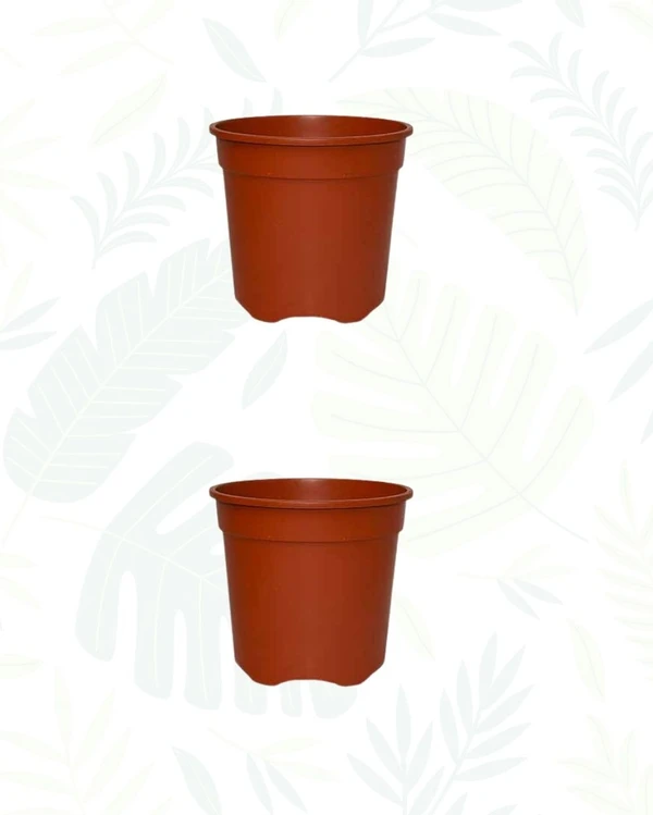 SET OF 2 GROPRO PLANTER - 8 Inch, Teracota