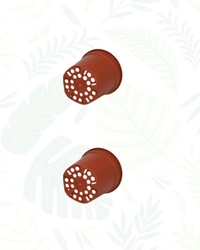 SET OF 2 GROPRO PLANTER - 8 Inch, Teracota