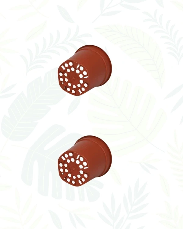 SET OF 2 GROPRO PLANTER - 8 Inch, Teracota