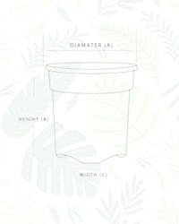 SET OF 2 GROPRO PLANTER - 8 Inch, Teracota
