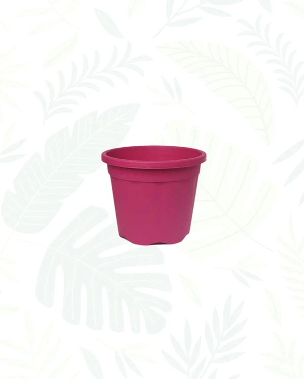 GROWER POT - 6 Inch, Pink