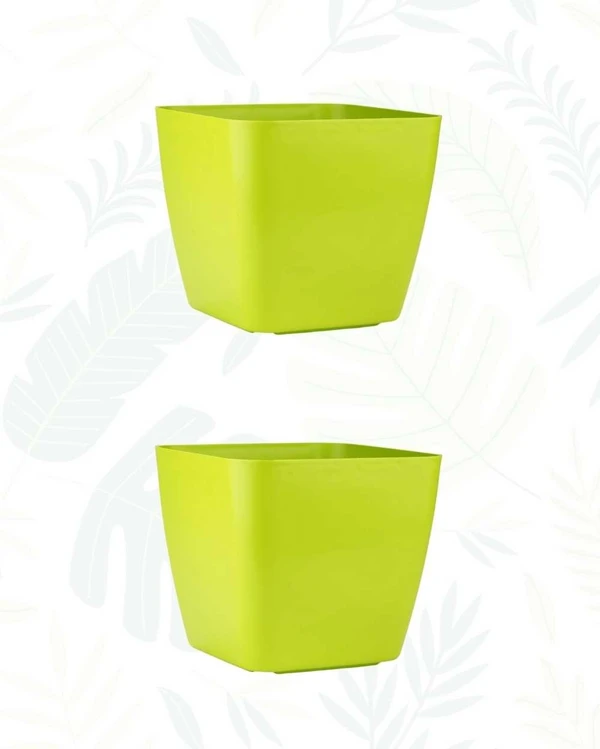 SET OF 2 FOUR SQUARE POT - 10 INCH, Green