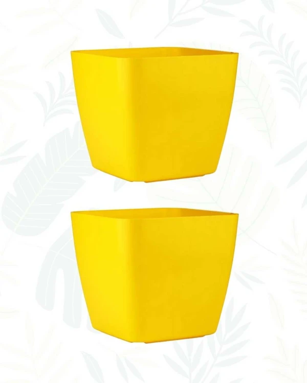 SET OF 2 FOUR SQUARE POT - 10 INCH, Yellow