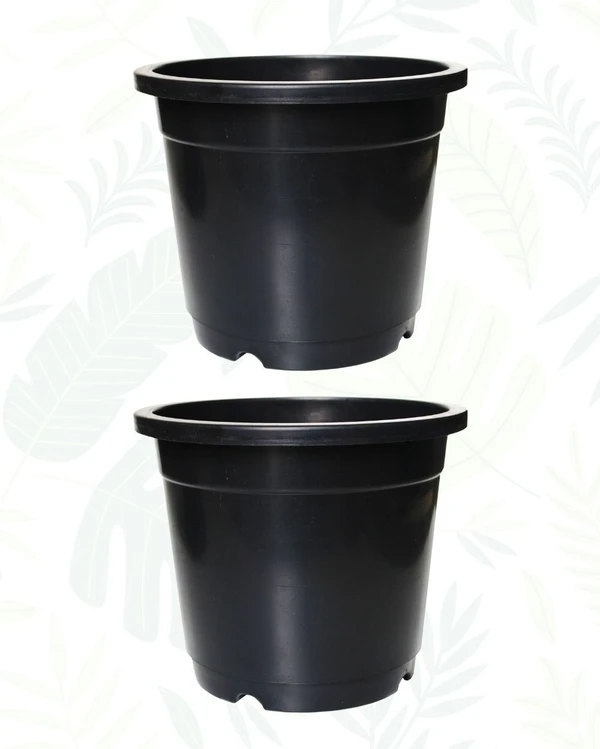 Set of 2 Nursery Pot - 9 Inch, Black