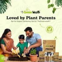 TheGreenWealth Neem Oil for Insects Repellent - 100 ml