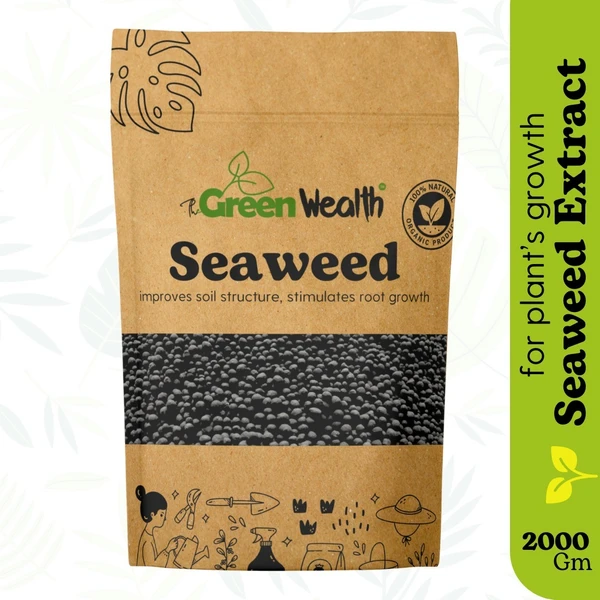 Seaweed Extract Granules Organic Fertilizer for Plants