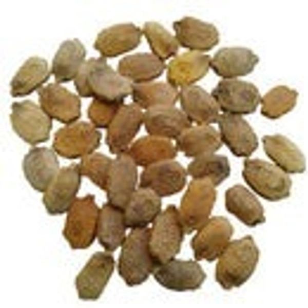 Bittergourd Karela Seed | Vegetable Seeds