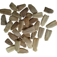 Bottle gourd / Lauki Lattu Green Seeds | Vegetable Seeds|