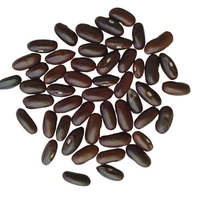 Beans seeds | Vegetable Seed |