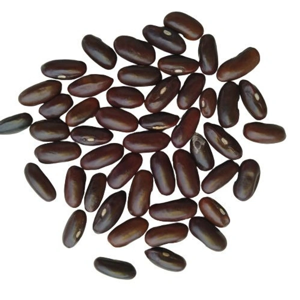 Beans seeds | Vegetable Seed |