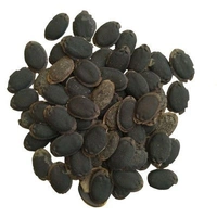 Sponge Gourd / Tori Seeds | Vegetable Seed |