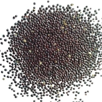 Red Amaranth / Chaulai Lal Saag  Vegetable Seeds