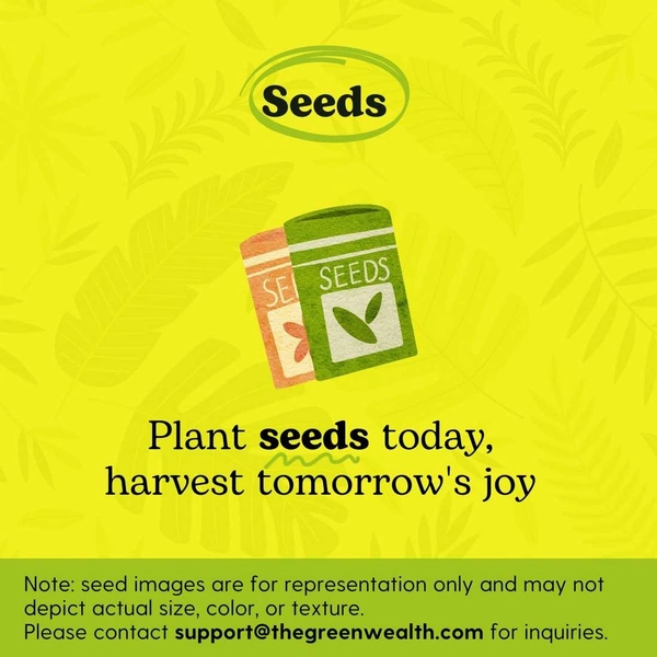 Ridge Gourd Kharra Tauri Dhari Wali Seeds | Vegetable Seeds |