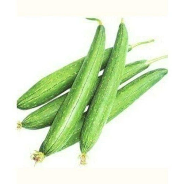 Sponge Gourd / Tori Seeds | Vegetable Seed |