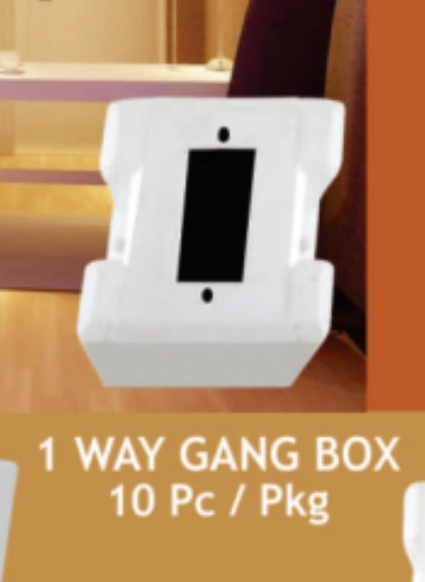 1 Way Gang Box Topson , 10 Pcs In Box 