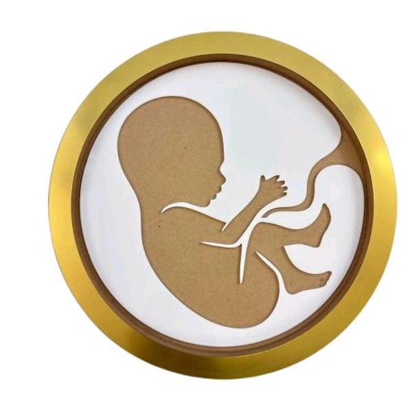MDF Baby in Womb Frame
