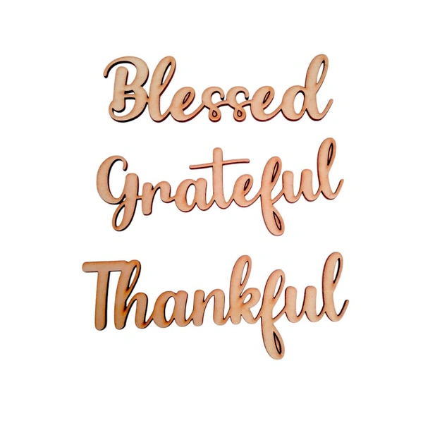 Set Of 3 Text Blessed Grateful Thankful Text Cutouts