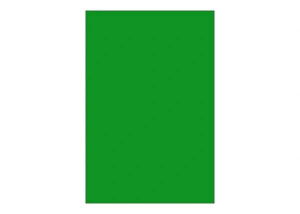 Green Chart Paper Thik A1 56.5cmX71.5cm Aprox
