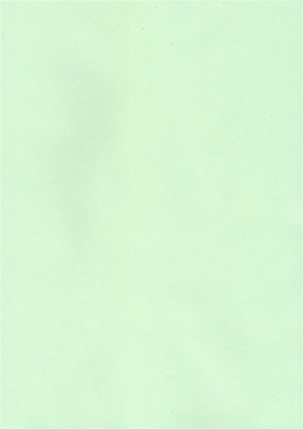 Light Green Chart Paper Thin A1 56.5cmX71.5cm Aprox