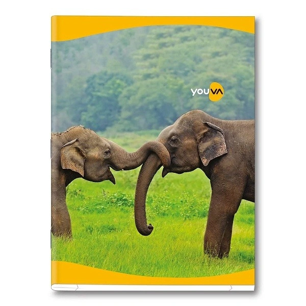 Navneet Youva |One Side RULD 172pg Notebook |18 Cm X 24 Cm Jumbo Size - 172pg, 1pc