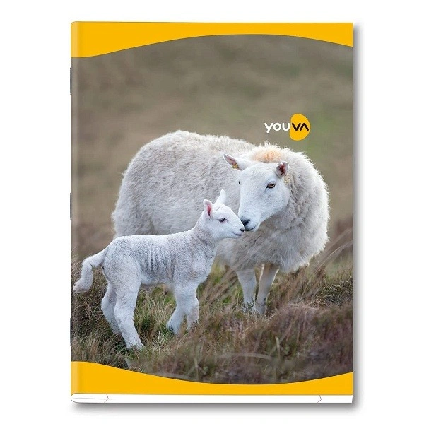 Navneet Youva |Math RULD 172pg Notebook |18 Cm X 24 Cm Jumbo Size - 172pg, 1pc