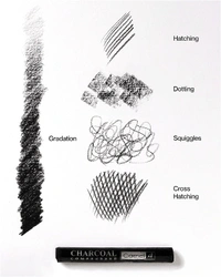 Camel Compressed Charcoal Sticks