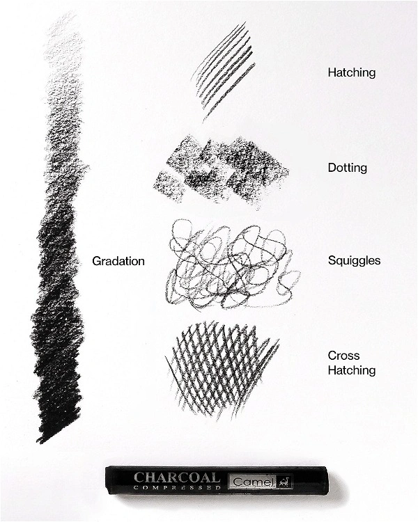 Camel Compressed Charcoal Sticks