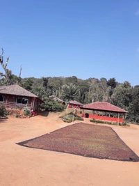 SOUTH COORG  SKY WIND HOMESTAY - SINGLE OCCUPANCY