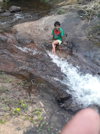 SOUTH COORG  SKY WIND HOMESTAY - SINGLE OCCUPANCY