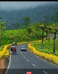 SOUTH COORG  SKY WIND HOMESTAY - SINGLE OCCUPANCY