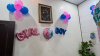 Bala Ji Event Planner  Baby Shower Nd Welcome  - multi, looking at the location