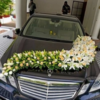 Bala Ji Event Planner  Wedding Car Decoration  - multi, Normal Car