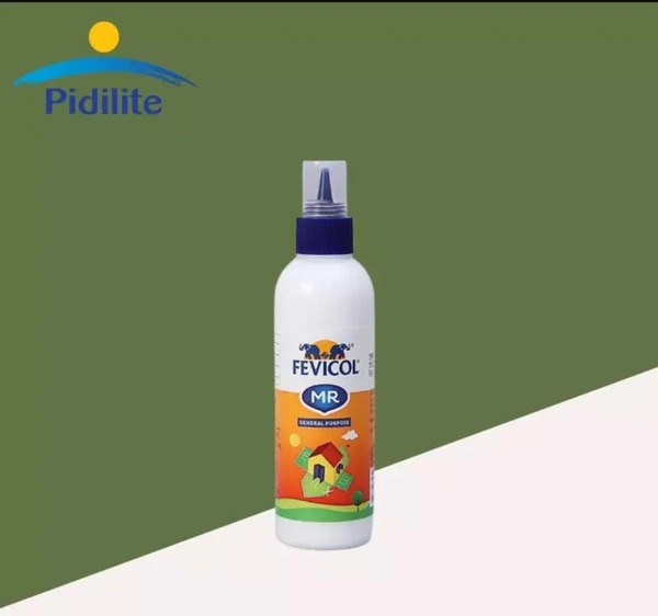 Pidilite Fevicol 20g